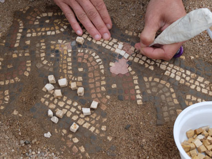 Ceci est une photo de détail de Béatrice Pradillon-Marques en train de restaurer des mosaïques à la villa romaine de Rabaçal. Ceci est une photo de détail de Béatrice Pradillon-Marques en train de restaurer des mosaïques à la villa romaine de Rabaçal.