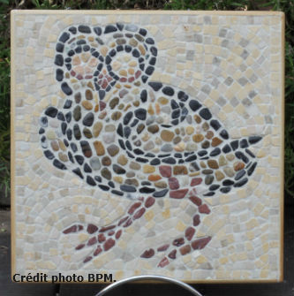 Ceci est une photo de la mosaique de Jean-François, réalisé en galets et fond en travertin, représentant la chouette de Vésunna. Ceci est une photo de la mosaique de Jean-François, réalisé en galets et fond en travertin, représentant la chouette de Vésunna.
