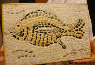 Ceci est une photo de la mosaique de Chantal, en galets, représentant un poisson.