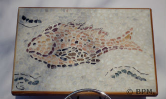 Ceci est une photo de la mosaique de Sophie, en galets représentant un poisson.